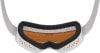 Alpina Carvy 3.0 Skibrille
