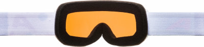 Alpina Scarabeo DH Skibrille