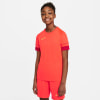 Nike Dri-Fit Acadmey Trainingstrikot