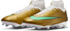 Goldene Nike Fußballschuhe mit weißem Kragen und grünem Streifen.