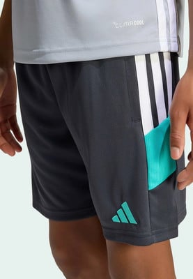 Šedé šortky s bílými a tyrkysovými pruhy a logem Adidas. Šedé šortky s bílými a tyrkysovými pruhy a logem Adidas.