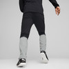 Puma Teamcup Casuals Trainingshose