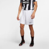 Nike Dri-FIT Academy férfi rövidnadrág