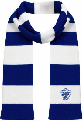 No Brand TSV Hartberg VIP Schal Wapp