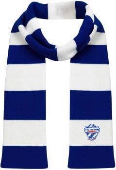 No Brand TSV Hartberg VIP Schal Wapp