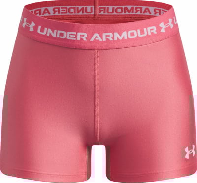 Under Armour UNDER ARMOUR HeatGear Shorts