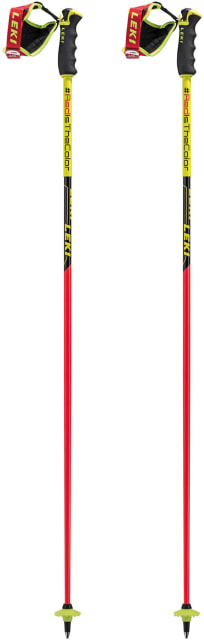 Worldcup Racing Comp Skistöcke Leki