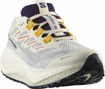 Salomon Aero Blaze 3 Gravel GTX Laufschuhe