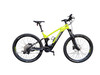 Ein grünes E-Bike mit Federung und schwarzen Rädern auf weißem Hintergrund.