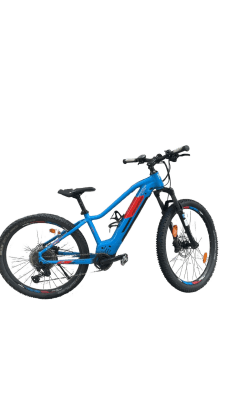 Genesis E-Pro MTB 2.2 LTD