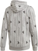 adidas MHS GFX PO Q3 Kapuzensweater