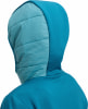 Rückansicht der Kapuze einer blauen Jacke mit gesteppten Einsätzen.