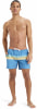 Quiksilver Everyday Straight Badeshorts