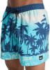Quiksilver Everyday Badeshorts