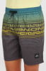 O'Neill Logo Stripe Badeshorts
