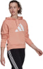 adidas Future Icons Hoodie
