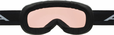 Alpina Thaynes Q Skibrille