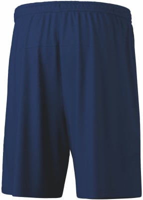 Erima Team Shorts