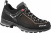 Salewa MTN Trainer 2 GTX Multifunktionsschuhe