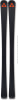 Fischer The Curv DTX Race Alpinski