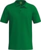 Grünes Poloshirt mit kurzen Ärmeln und Erima-Logo auf der Schulter.