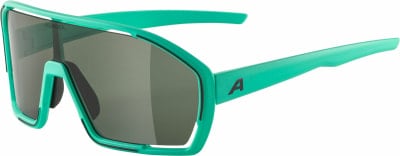 Alpina Bonfire Sportsonnenbrille