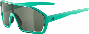 Alpina Bonfire Sportsonnenbrille