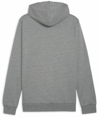 Puma teamGOAL Casuals Hoodie