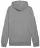 Puma teamGOAL Casuals Hoodie