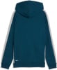 Puma Active Sports Full-Zip Sweatjacke mit Kapuze