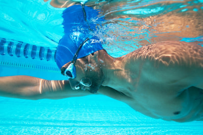 Zoggs Predator Flex Polarised Schwimmbrille