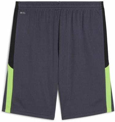 Puma IndividualLIGA Trainingsshorts