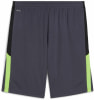 Puma IndividualLIGA Trainingsshorts