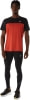 Asics Icon Tight běžecké legíny