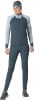 Dynafit Alpine L/S 1/2 Zip L/S Shirt mit 1/2 Zipp Polygiene