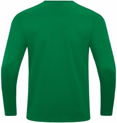 Grünes Langarmshirt mit feiner Stofftextur. Grünes Langarmshirt mit feiner Stofftextur.