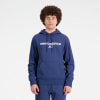 New Balance Seasonal Fleece Hoodie