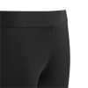 adidas TF kurze Tights