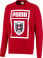 Österreich DNA  Sweater