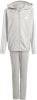adidas Essentials Trainingsanzug