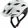 Alpina Stan Mips® MTB-Helm