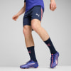 Puma IndividualLIGA Trainingsshorts