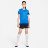 Nike Dri-Fit Acadmey Trainingstrikot