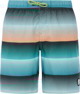 Protest Prtray Beachshort