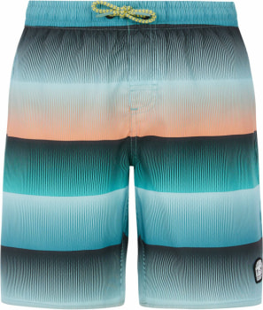 Protest Prtray Beachshort