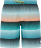 Protest Prtray Beachshort