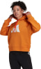 adidas Future Icons Hoodie