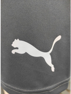 Puma IndividualLIGA Trainingsshorts