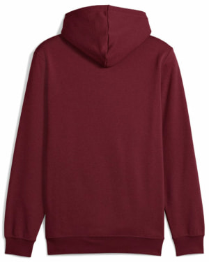 Ess Small No. 1 Logo Kapuzensweater