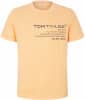 Tom Tailor TOM TAILOR Washed T-Shirt férfi póló